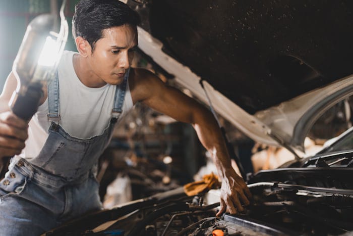 Motor mechanic service professional